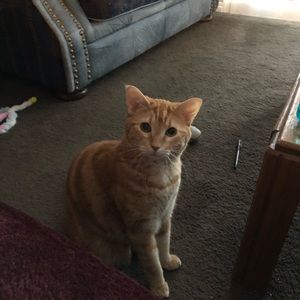 Meet your Posher, Marj